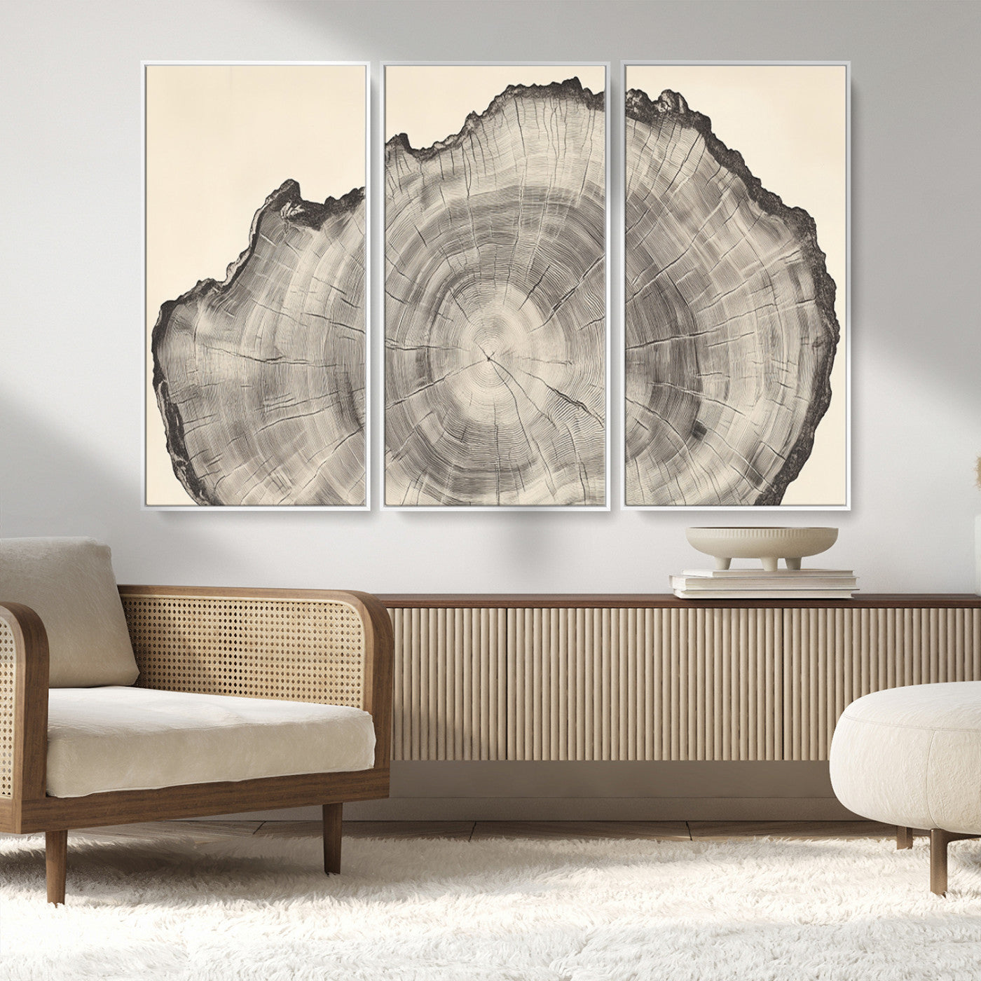 Detailed tree ring drawing in monochrome tones, ideal for rustic or nature-inspired interiors with a minimal decor aesthetic.