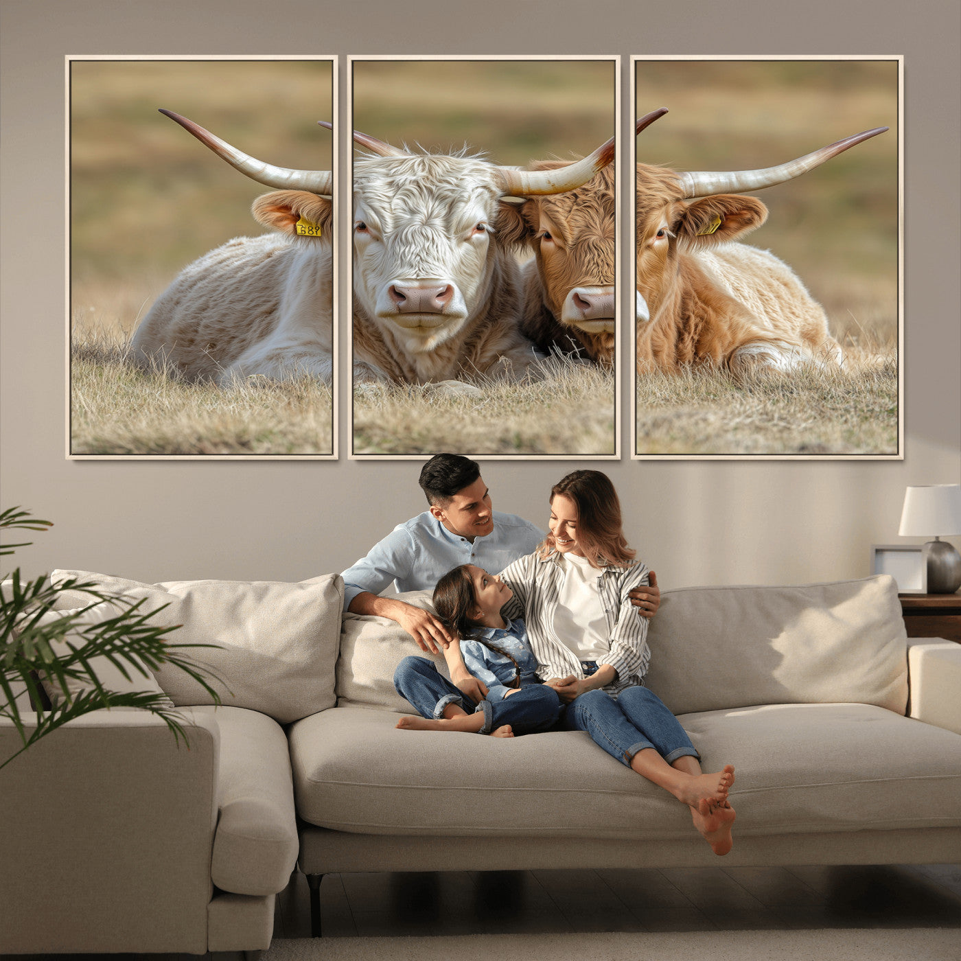 Two cows laying closely in a dry grassy field, captured in soft light, perfect for rustic farmhouse or western style home decor.
