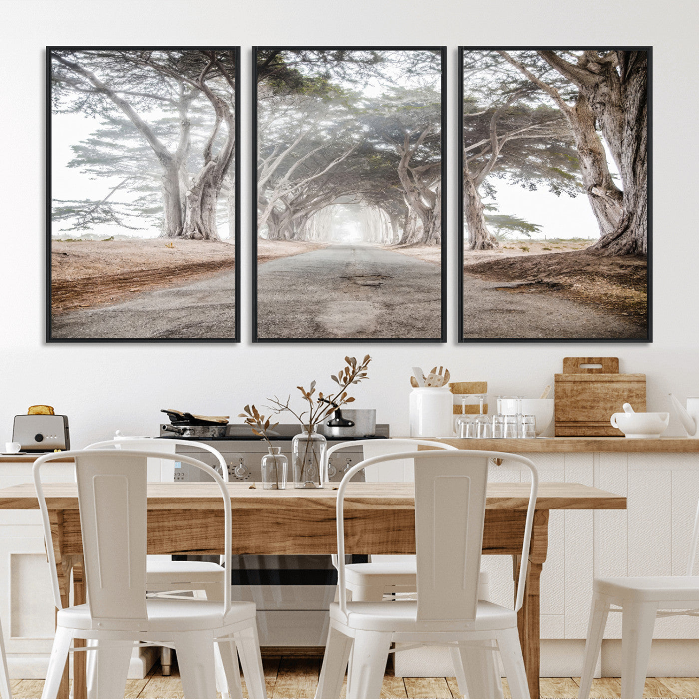 Canvas of a misty tree tunnel with arching cypress trees and an earthy road, ideal for rustic or coastal nature decor.