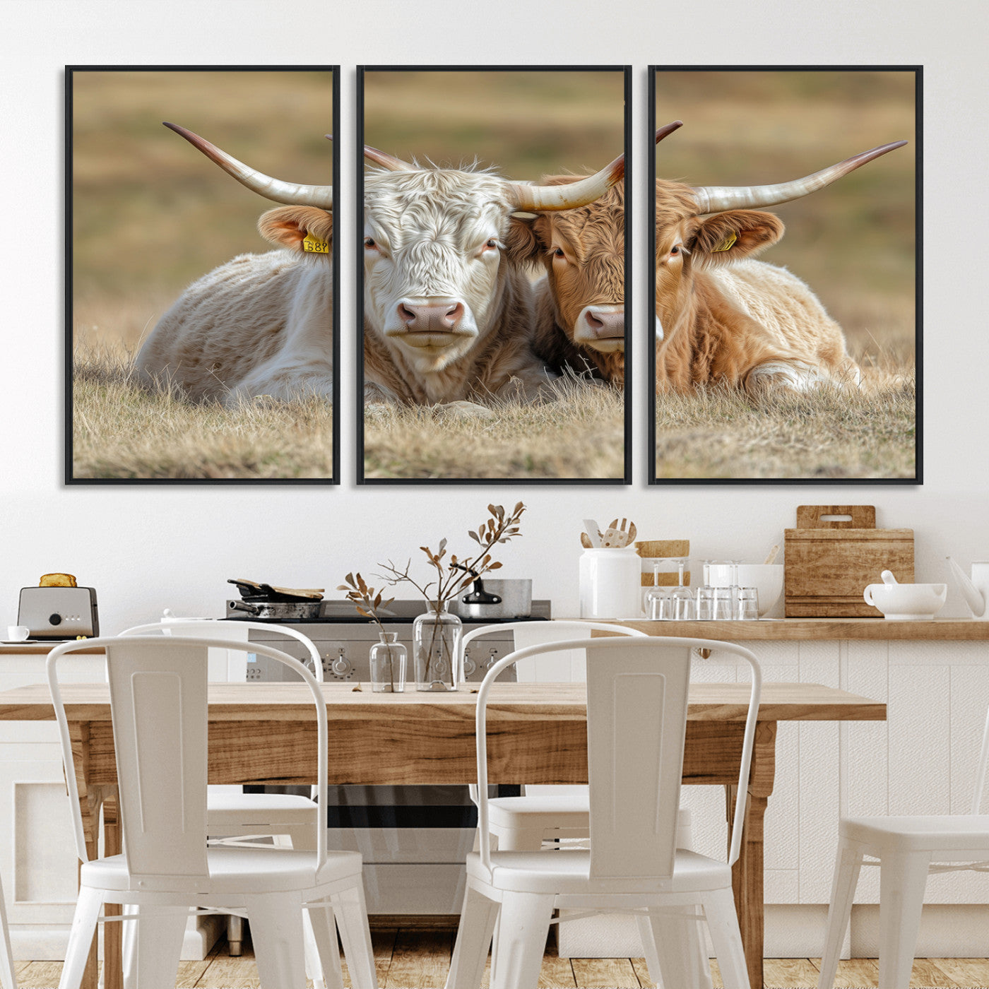 Two cows laying closely in a dry grassy field, captured in soft light, perfect for rustic farmhouse or western style home decor.