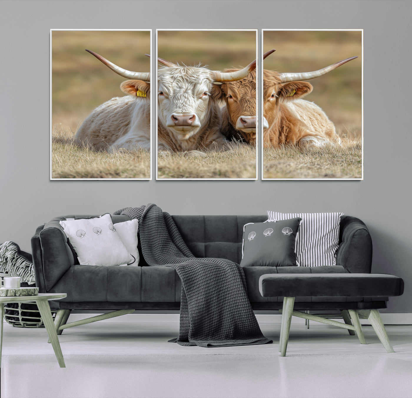 Two cows laying closely in a dry grassy field, captured in soft light, perfect for rustic farmhouse or western style home decor.