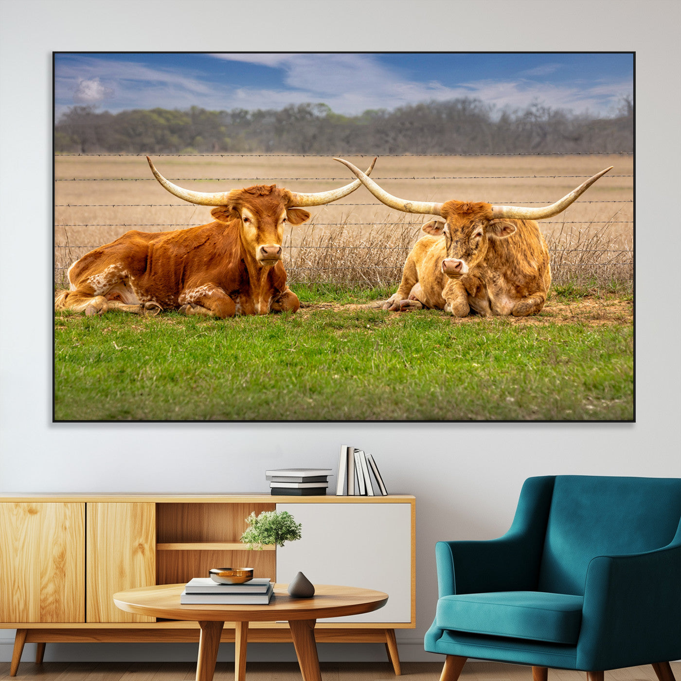Two longhorn cows lying on green grass in front of a golden field and trees under a blue sky, perfect for rustic country wall decor.