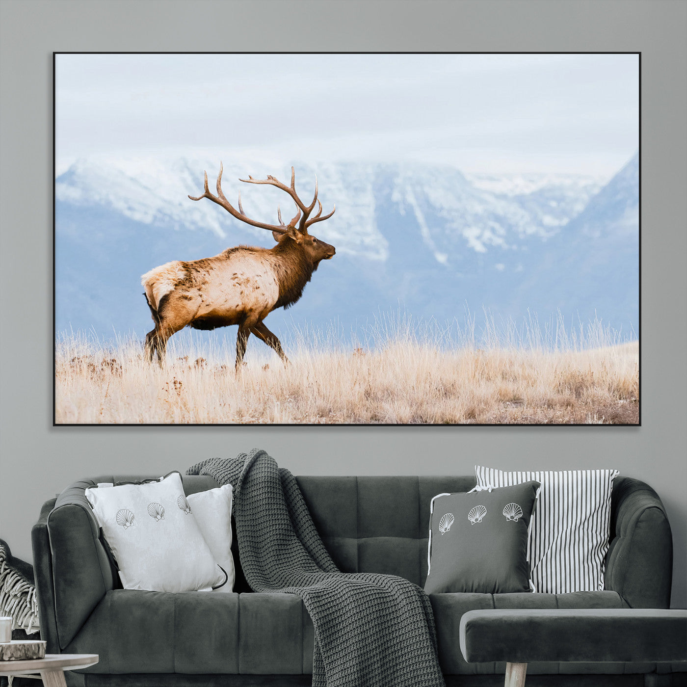 An elk walking on snowy grassland with majestic mountains in the background, ideal for rustic lodge or cabin wall decor.