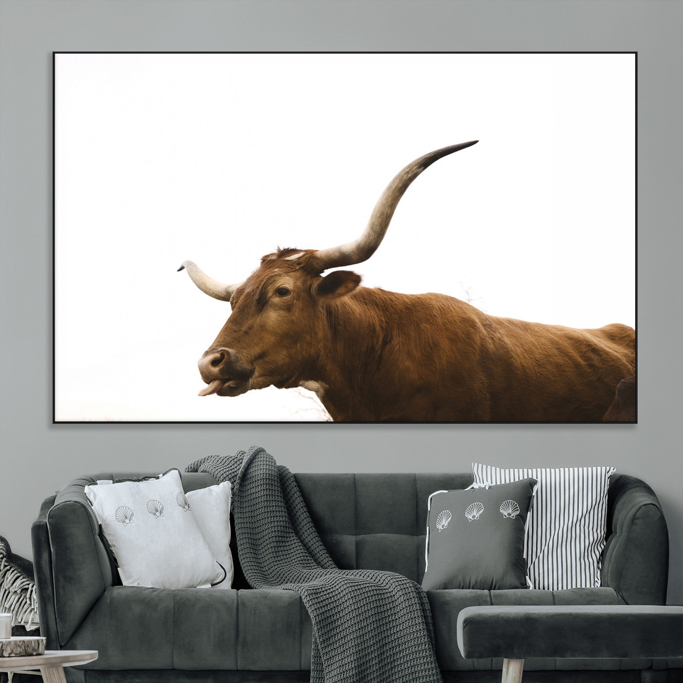 Minimal photo of a longhorn cow with white background, ideal for rustic, western or farmhouse-style interior decor.