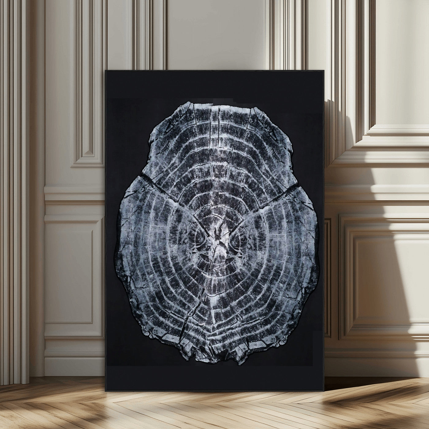Monochrome tree ring cross-section on black background, showing detailed growth lines, perfect for modern rustic or minimalist interiors. (