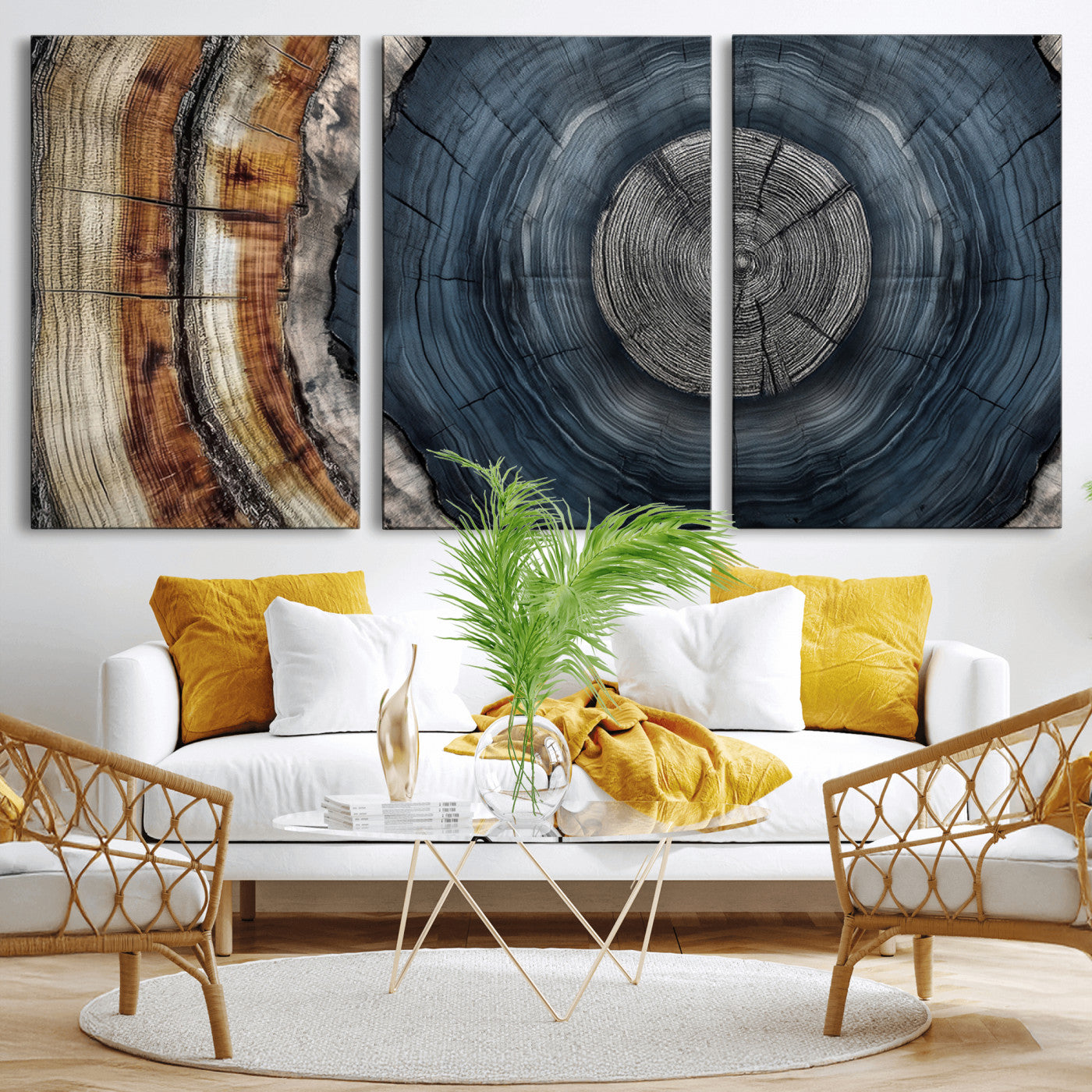 A stunning close-up of a tree trunk showing the intricate, circular growth rings, showcasing the natural textures and rich contrasts in deep blues, browns, and silvers.