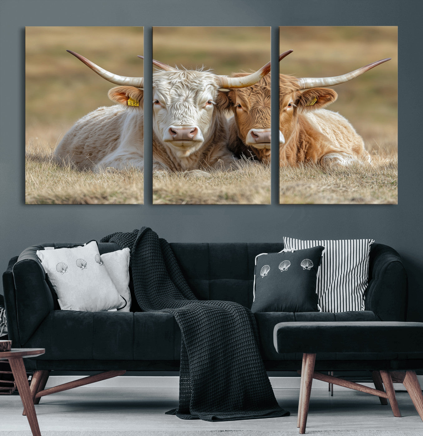 Two cows laying closely in a dry grassy field, captured in soft light, perfect for rustic farmhouse or western style home decor.