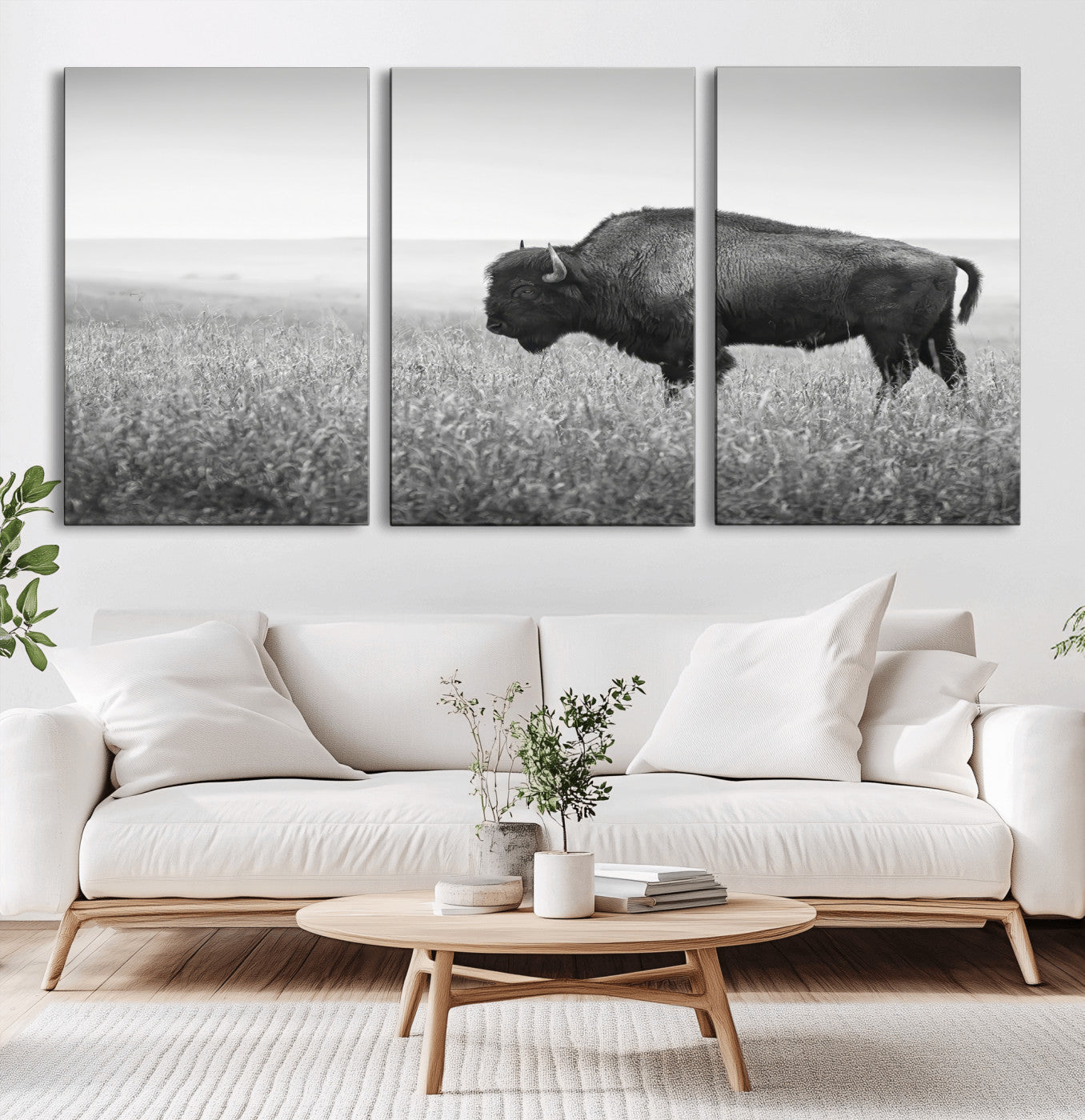 A black and white photograph of a majestic bison standing in a vast grassy prairie, evoking a sense of wilderness and strength.