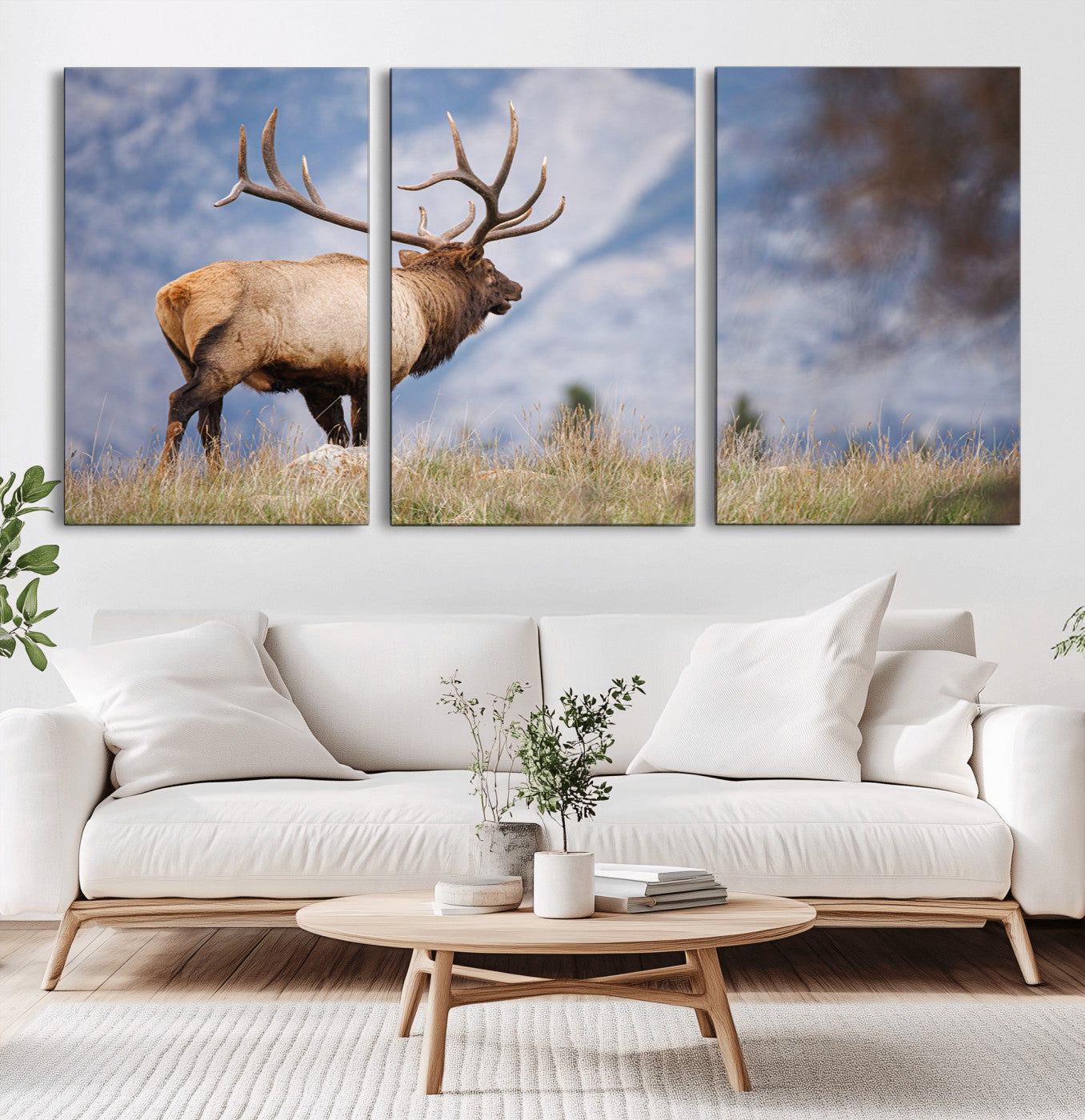 Elk with antlers standing on grass with mountain background, ideal for rustic, cabin, or lodge-inspired wall decor.