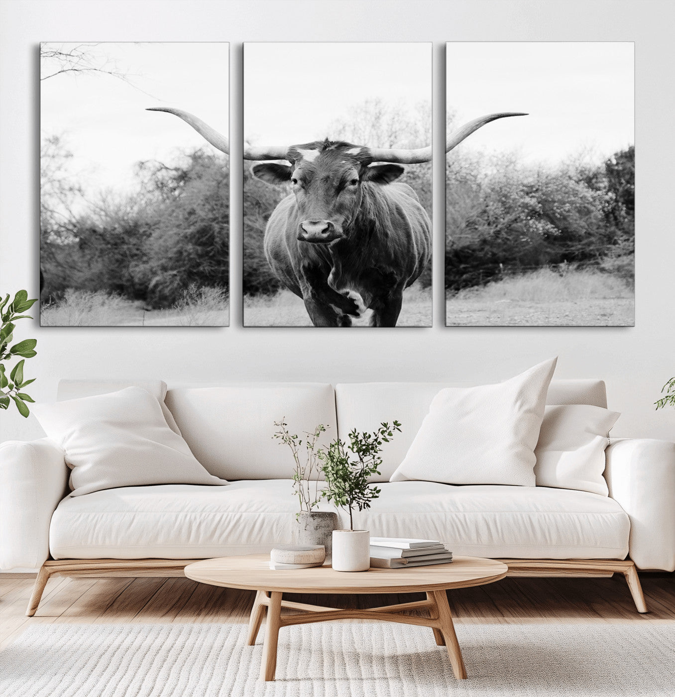 Black and white photo of a longhorn cow in a field, perfect for rustic farmhouse or western-themed interior wall decoration.