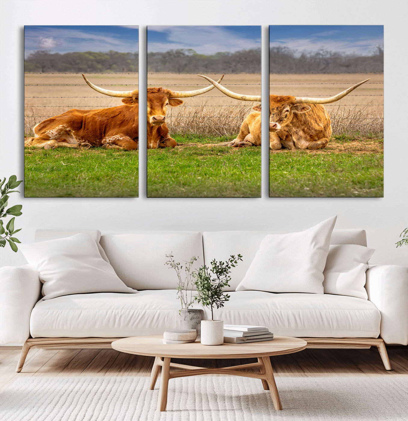 Two longhorn cows lying on green grass in front of a golden field and trees under a blue sky, perfect for rustic country wall decor.