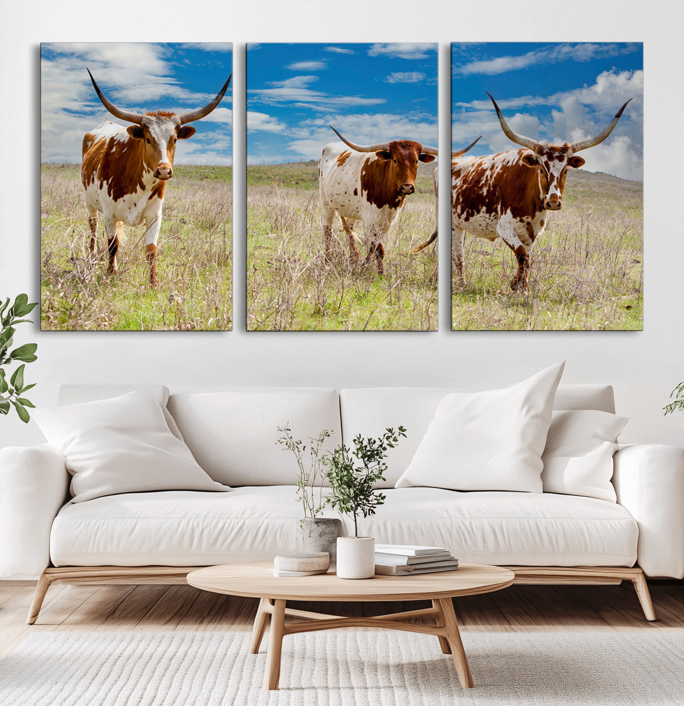 Three Texas longhorn cattle standing in dry grass under a bright blue sky, ideal for farmhouse or western rustic home decor.