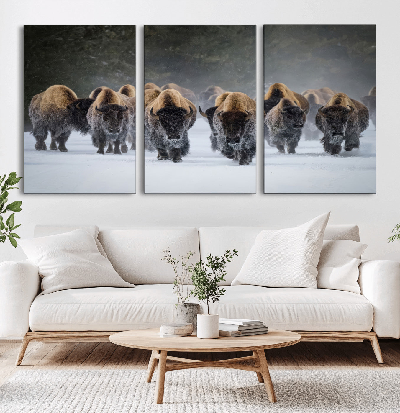 A herd of American bisons walking through deep snow in a forest, evoking a powerful rustic wilderness mood for western-style interiors.
