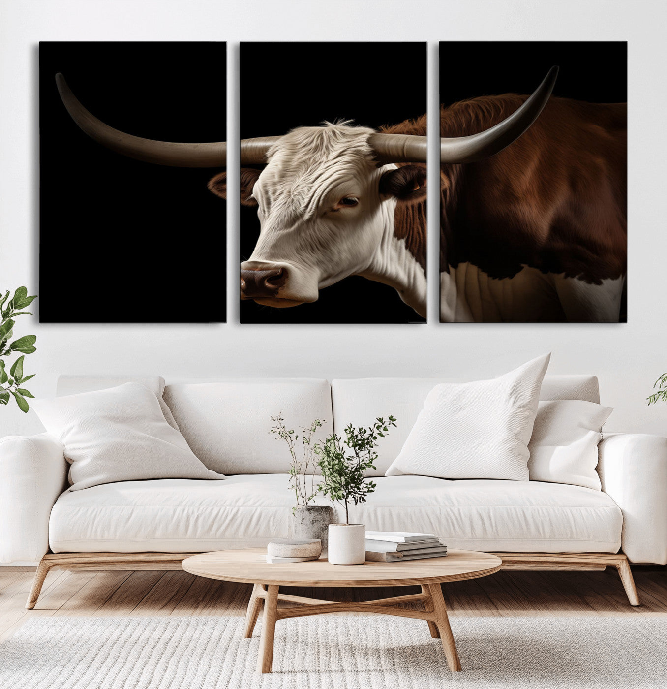 "Close-up of a brown and white longhorn cow with prominent curved horns against a black background."