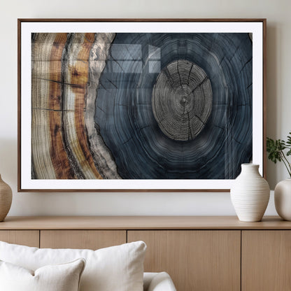 A stunning close-up of a tree trunk showing the intricate, circular growth rings, showcasing the natural textures and rich contrasts in deep blues, browns, and silvers.
