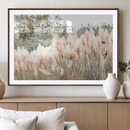 Soft pastel pampas grasses in a natural setting, ideal for neutral boho or rustic botanical-style interior wall decoration.