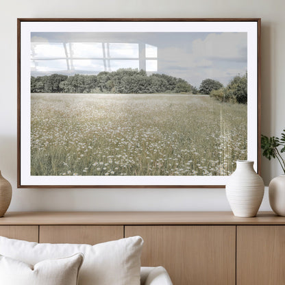 Soft-toned image of a wild daisy field under a cloudy sky, ideal for neutral or Scandinavian-inspired home decor.