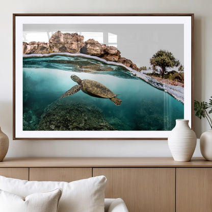 Dynamic split-view photo of a sea turtle swimming near rocky shores, perfect for vibrant coastal or tropical beach home decor.