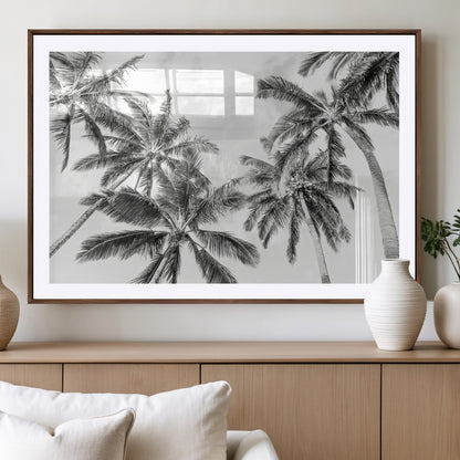 Black and white tropical palm trees viewed from below, swaying gently against a bright sky, creating a serene and elegant coastal atmosphere.
