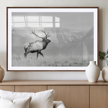 Black and white photograph of a majestic elk standing in a grassy field with snow-capped mountains in the background, creating a bold and rustic wilderness scene.