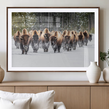 A herd of American bisons walking through a snowy forest path, perfect for rustic cabin or Western-themed wall decor.