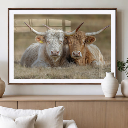 Two cows laying closely in a dry grassy field, captured in soft light, perfect for rustic farmhouse or western style home decor.