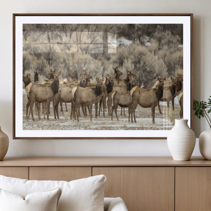 A large herd of elk standing in an open field with soft earthy tones, ideal for rustic lodge or western-themed home wall decor.