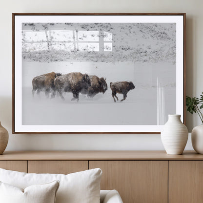 Bison herd running through a snowy open field with mountain backdrop, perfect for rustic or western-themed wall decoration.