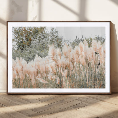 Soft pastel pampas grasses in a natural setting, ideal for neutral boho or rustic botanical-style interior wall decoration.