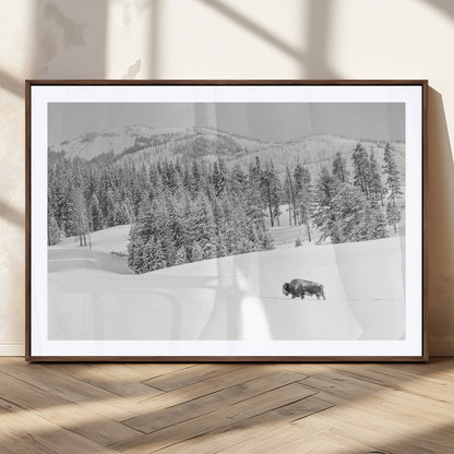 Snowy bison walking through white forest landscape, ideal for monochrome winter or wilderness-style interior wall decoration.