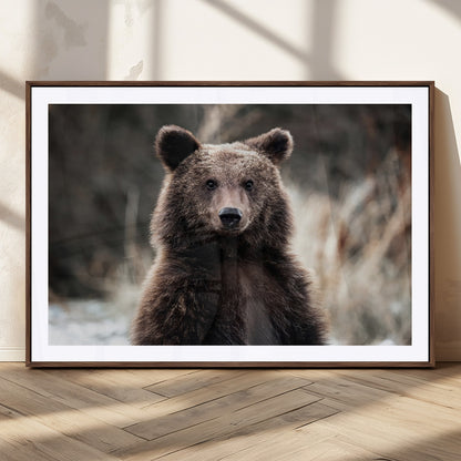Canvas of a brown bear in soft earthy tones and moody forest light, ideal for rustic cabin or woodland nature-themed home decor.