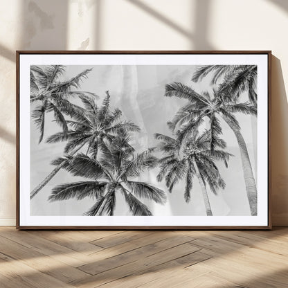 Black and white tropical palm trees viewed from below, swaying gently against a bright sky, creating a serene and elegant coastal atmosphere.