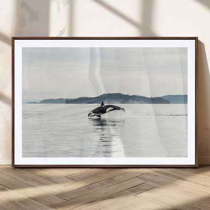 An orca jumping out of calm ocean waters with a misty island in the background, creating a serene and minimalist marine wildlife scene.