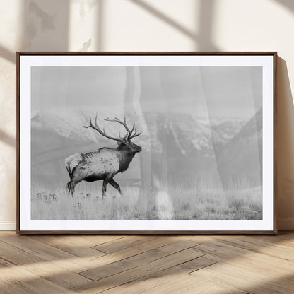 Black and white photograph of a majestic elk standing in a grassy field with snow-capped mountains in the background, creating a bold and rustic wilderness scene.