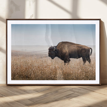A majestic bison standing in an open prairie field, its strong form blending into the golden grass under a vast blue sky, evoking the wild spirit of the American plains.