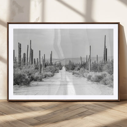 A black and white desert road stretching through a cactus-filled landscape, creating a rugged and timeless southwestern aesthetic with a sense of adventure.