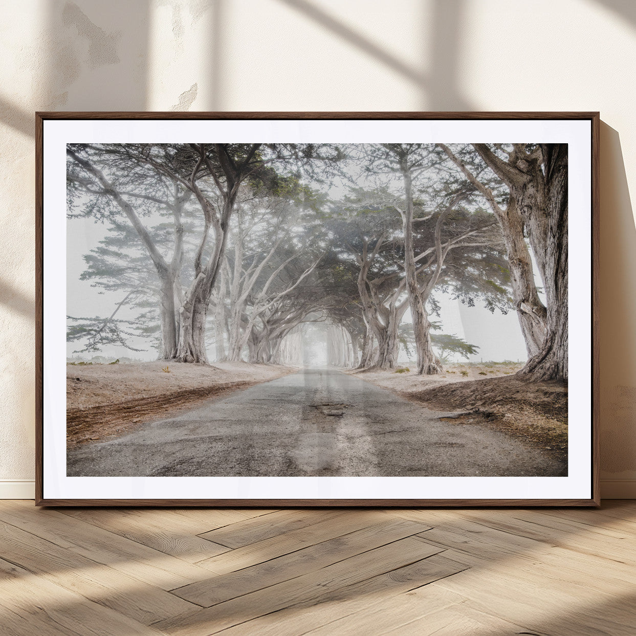 Canvas of a misty tree tunnel with arching cypress trees and an earthy road, ideal for rustic or coastal nature decor.
