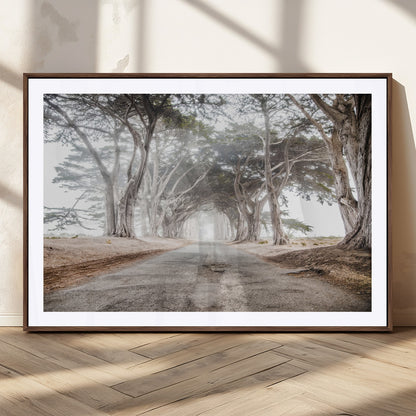 Canvas of a misty tree tunnel with arching cypress trees and an earthy road, ideal for rustic or coastal nature decor.