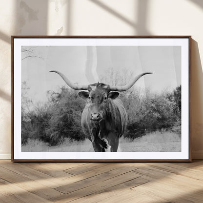 Black and white photo of a longhorn cow in a field, perfect for rustic farmhouse or western-themed interior wall decoration.