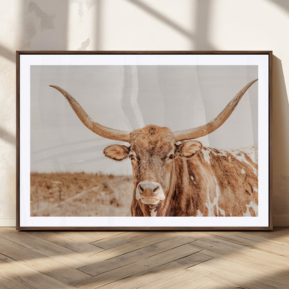 A longhorn bull standing proudly in a sunlit desert field with warm neutral tones, ideal for rustic western or farmhouse interiors.