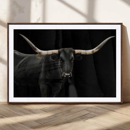 Close-up of a black Texas longhorn with large curved horns on black background, ideal for rustic farmhouse or modern western interiors.
