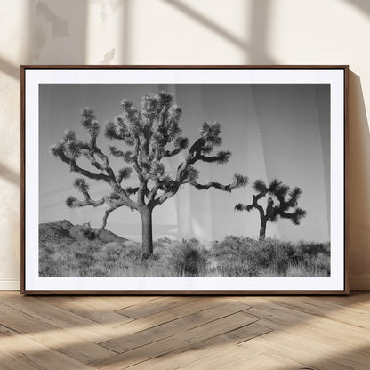 Black and white Joshua trees in a rugged desert landscape, creating a calm and minimalist feel for natural or rustic-themed interiors.