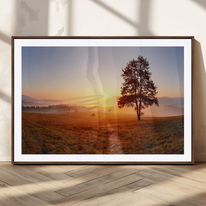 A tranquil landscape at sunrise with a mist-covered field and a lone tree, creating a peaceful and natural atmosphere.