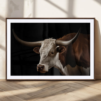 "Close-up of a brown and white longhorn cow with prominent curved horns against a black background."