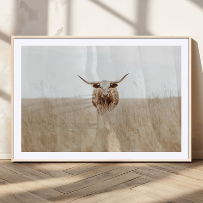 Texas Longhorn bull standing alone in dry grass with neutral tones, ideal for rustic western or cowboy-themed wall decor.