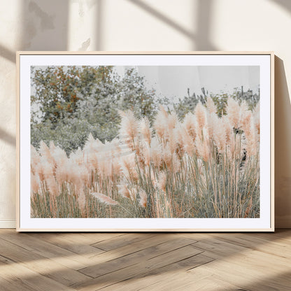 Soft pastel pampas grasses in a natural setting, ideal for neutral boho or rustic botanical-style interior wall decoration.