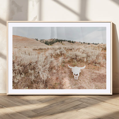 Rustic bull skull on dry sagebrush field under soft light, ideal for western minimal or desert prairie-style wall decoration.