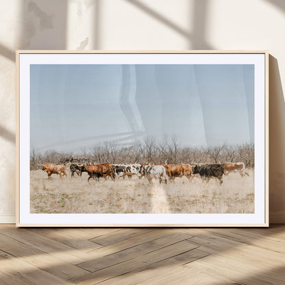 Framed wall art of Texas longhorn cattle walking through a dry, neutral-toned prairie, perfect for rustic farmhouse or western-themed home decor.