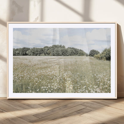 Soft-toned image of a wild daisy field under a cloudy sky, ideal for neutral or Scandinavian-inspired home decor.