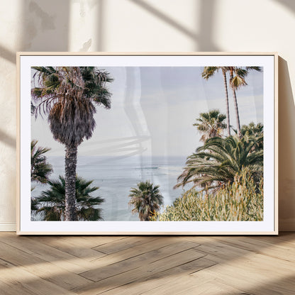 Scenic coastal view with tall palm trees overlooking a calm ocean, soft blue waves, and surfers in the distance, creating a peaceful tropical vibe.